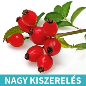 Naturpolc csipkebogyó olaj - 50ml