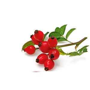 Naturpolc csipkebogyó olaj - 20ml