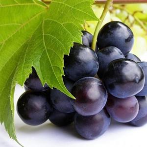 Naturpolc szőlőmag olaj