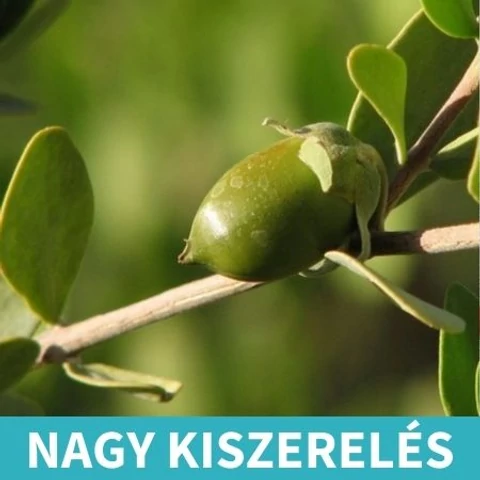 Naturpolc jojobaolaj - 50 ml