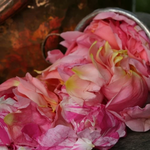 Naturpolc rózsa aromavíz