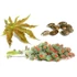 Naturpolc ricinus olaj - 50ml