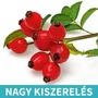Kép 1/2 - Naturpolc csipkebogyó olaj - 50ml