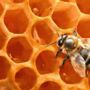Kép 2/2 - Naturpolc finomítatlan méhviasz pasztilla - 50g